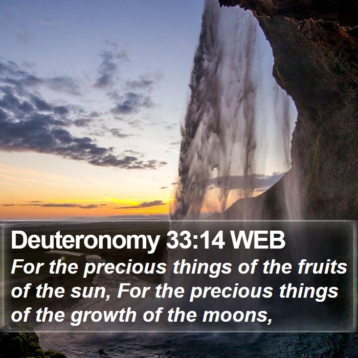 Deuteronomy 33:14 WEB Bible Study