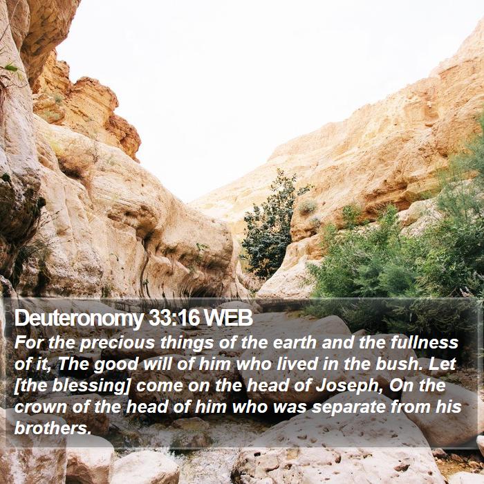 Deuteronomy 33:16 WEB Bible Study