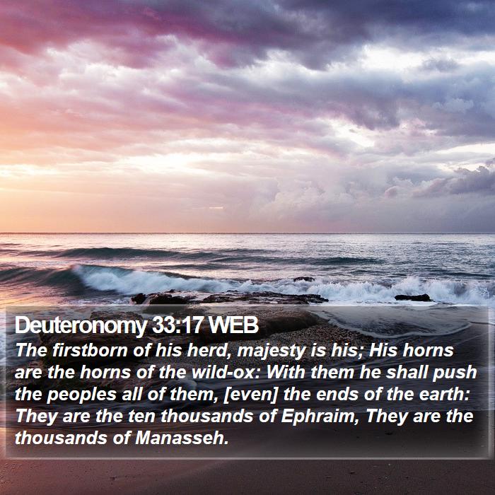 Deuteronomy 33:17 WEB Bible Study