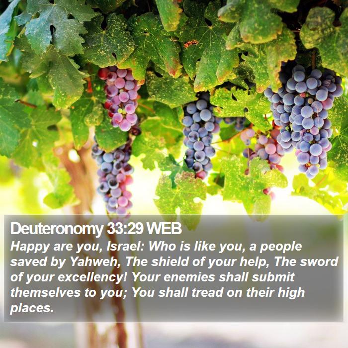 Deuteronomy 33:29 WEB Bible Study