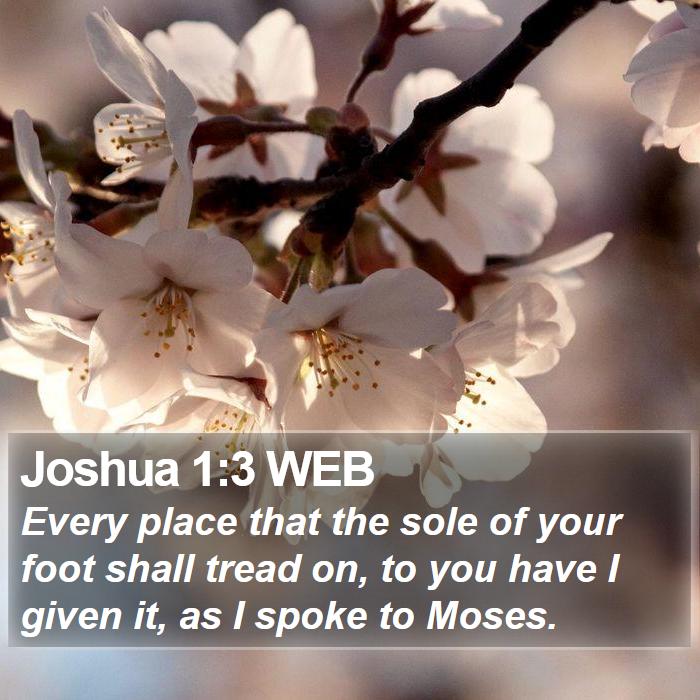 Joshua 1:3 WEB Bible Study