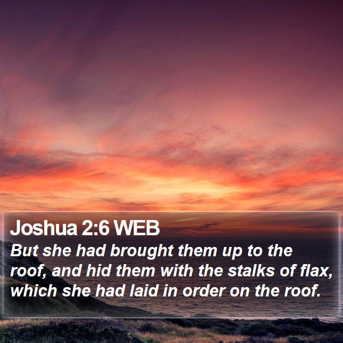 Joshua 2:6 WEB Bible Study