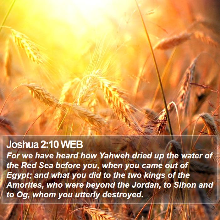 Joshua 2:10 WEB Bible Study