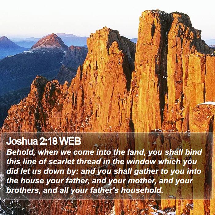 Joshua 2:18 WEB Bible Study