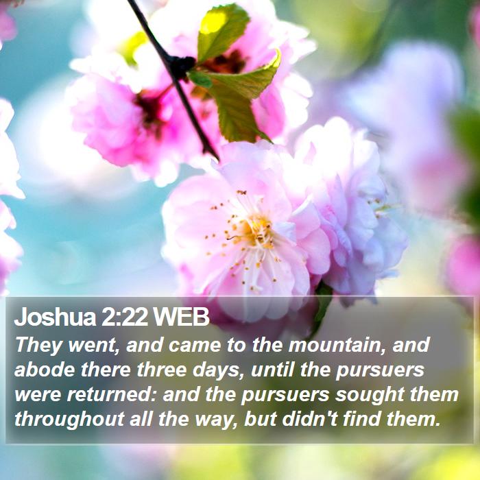 Joshua 2:22 WEB Bible Study