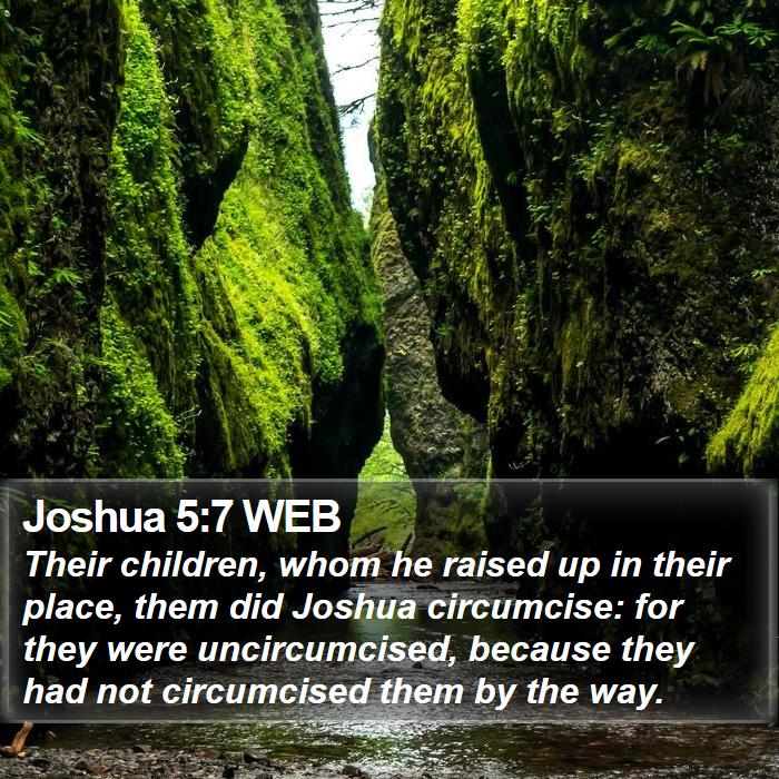 Joshua 5:7 WEB Bible Study