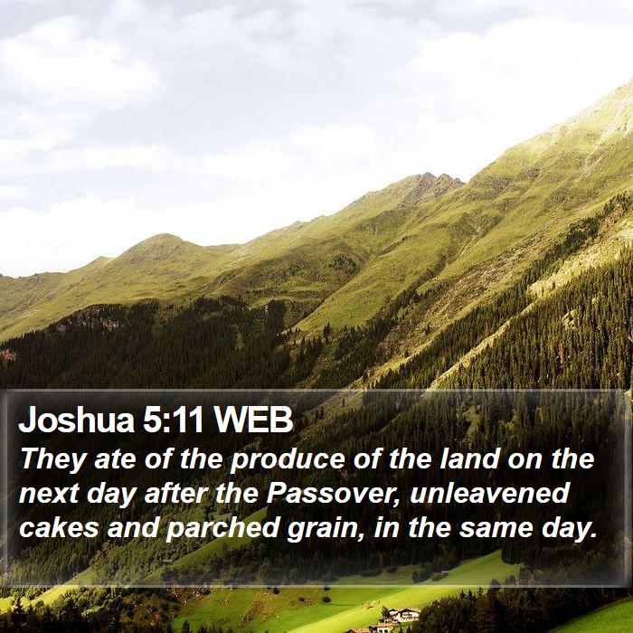 Joshua 5:11 WEB Bible Study