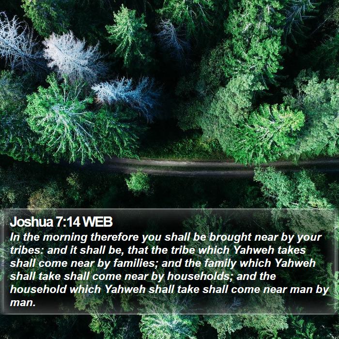 Joshua 7:14 WEB Bible Study