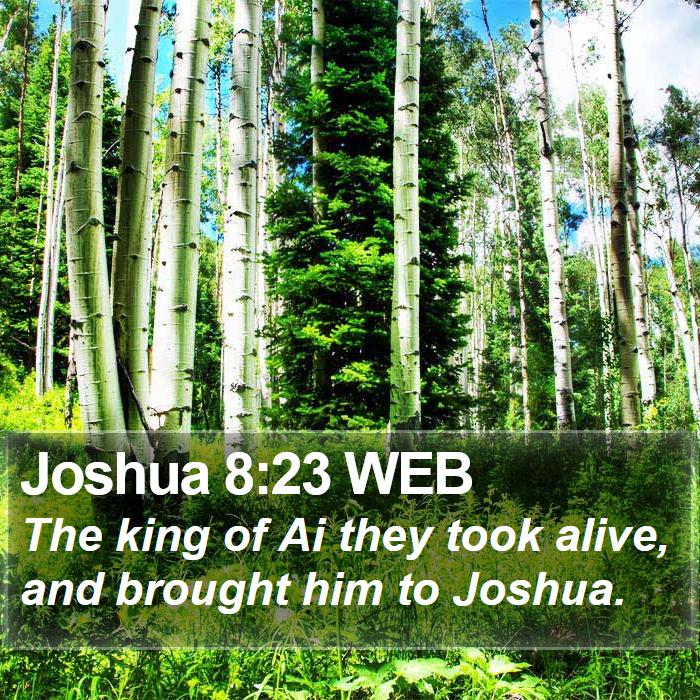 Joshua 8:23 WEB Bible Study