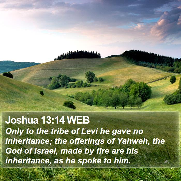 Joshua 13:14 WEB Bible Study