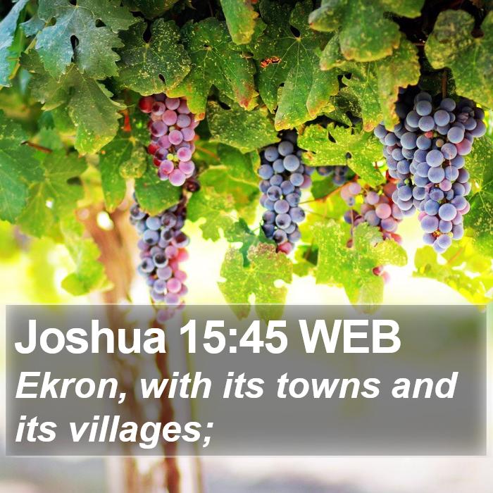 Joshua 15:45 WEB Bible Study