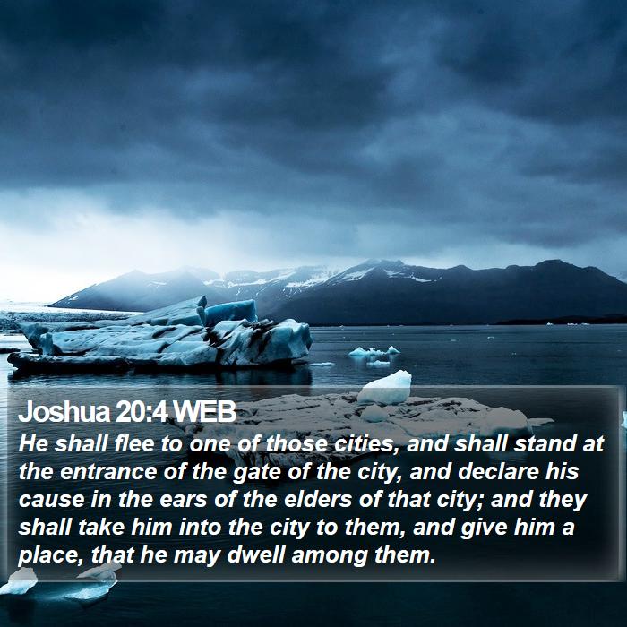 Joshua 20:4 WEB Bible Study