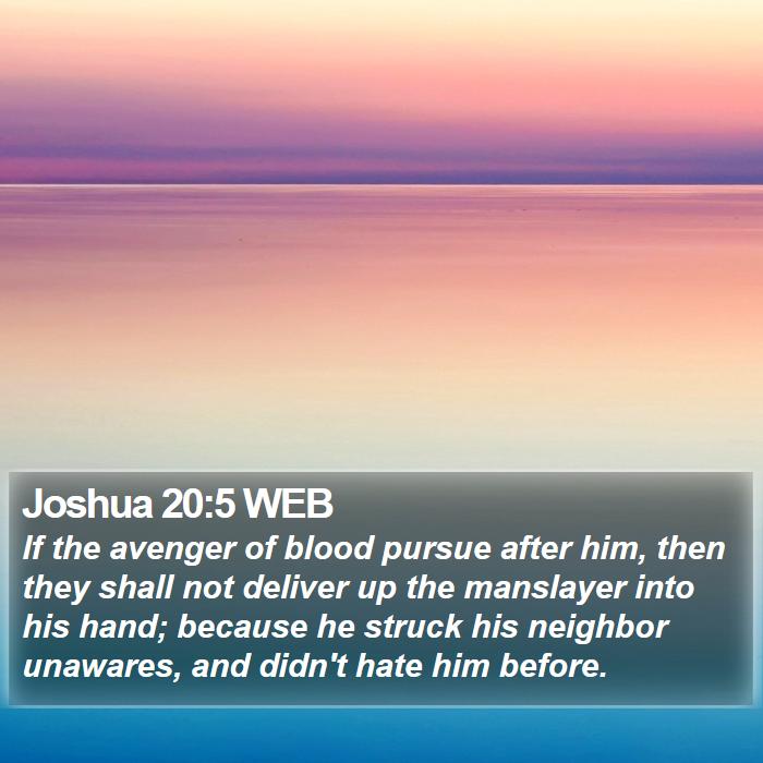 Joshua 20:5 WEB Bible Study