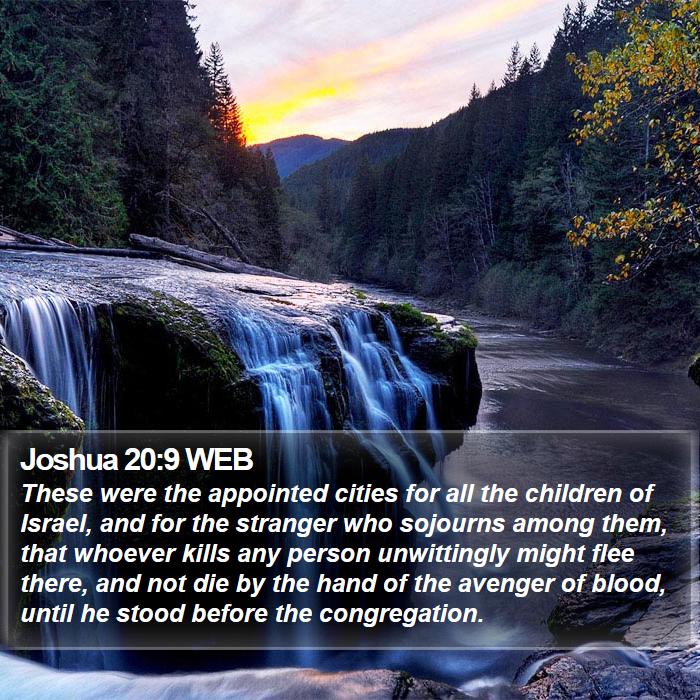 Joshua 20:9 WEB Bible Study