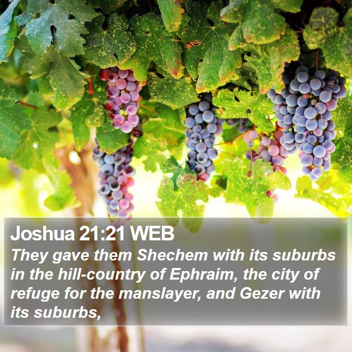 Joshua 21:21 WEB Bible Study