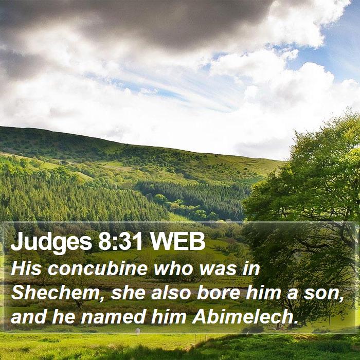 Judges 8:31 WEB Bible Study