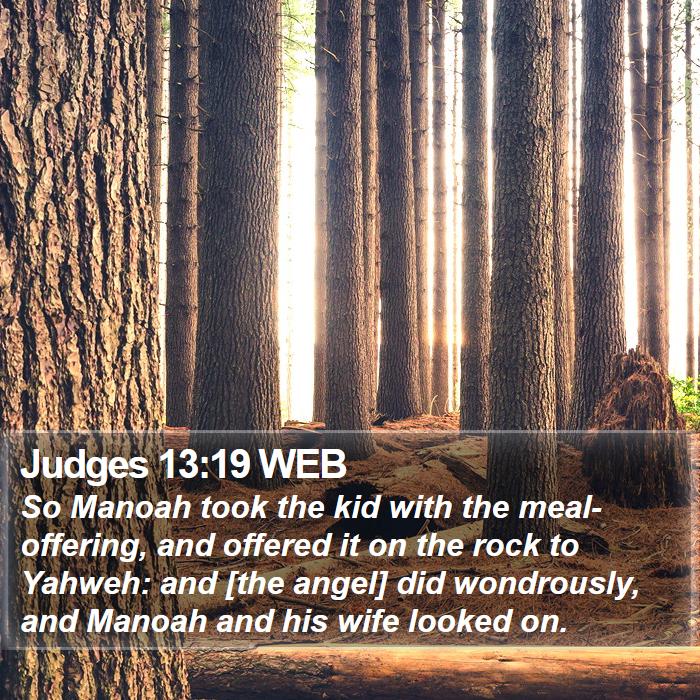 Judges 13:19 WEB Bible Study