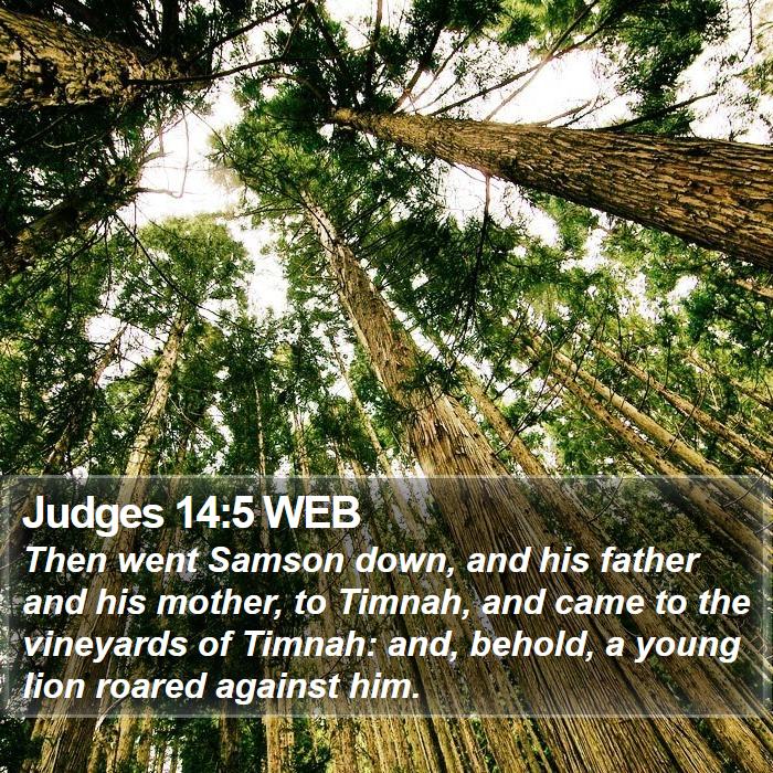 Judges 14:5 WEB Bible Study