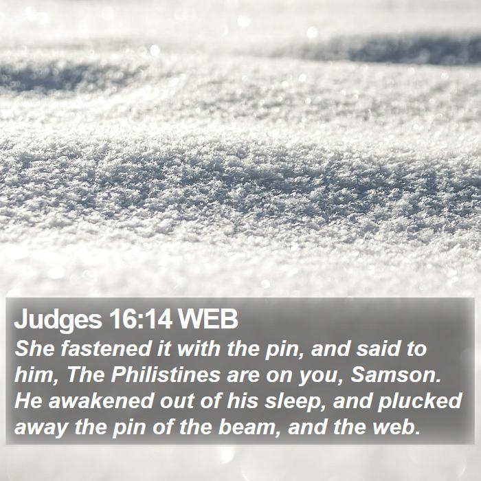 Judges 16:14 WEB Bible Study