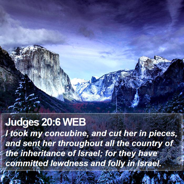 Judges 20:6 WEB Bible Study