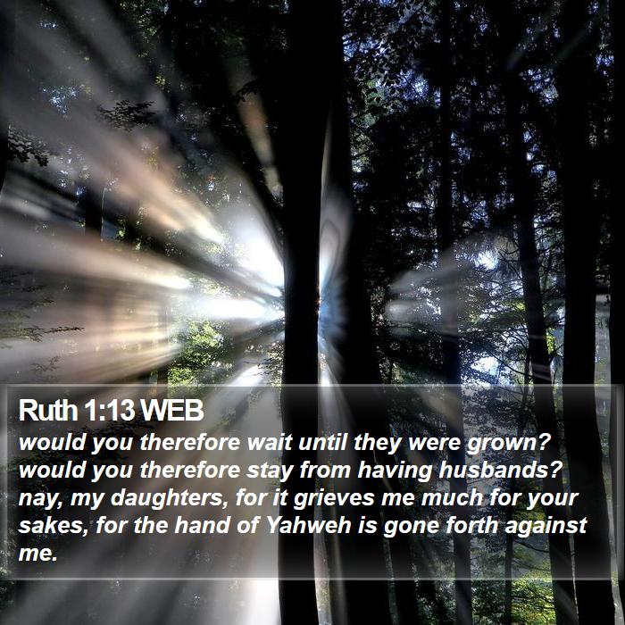 Ruth 1:13 WEB Bible Study