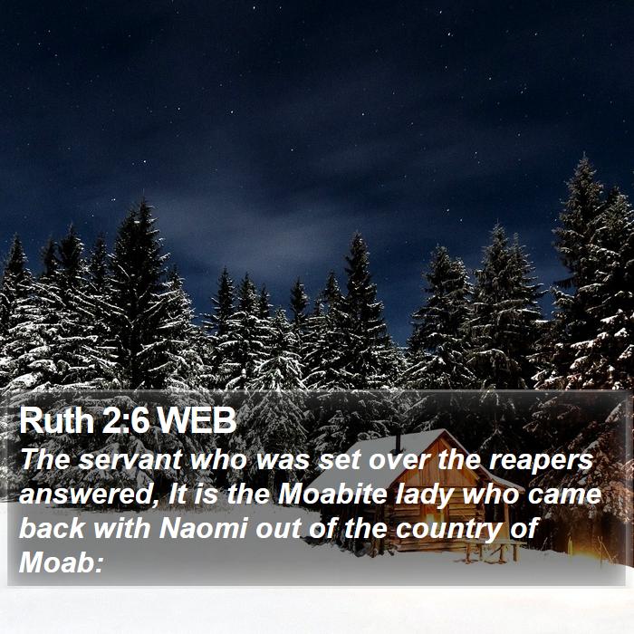 Ruth 2:6 WEB Bible Study