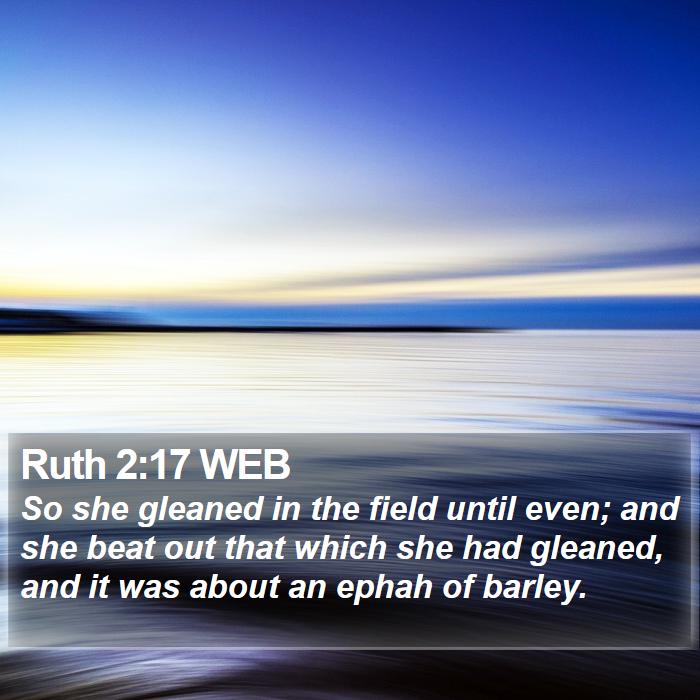 Ruth 2:17 WEB Bible Study