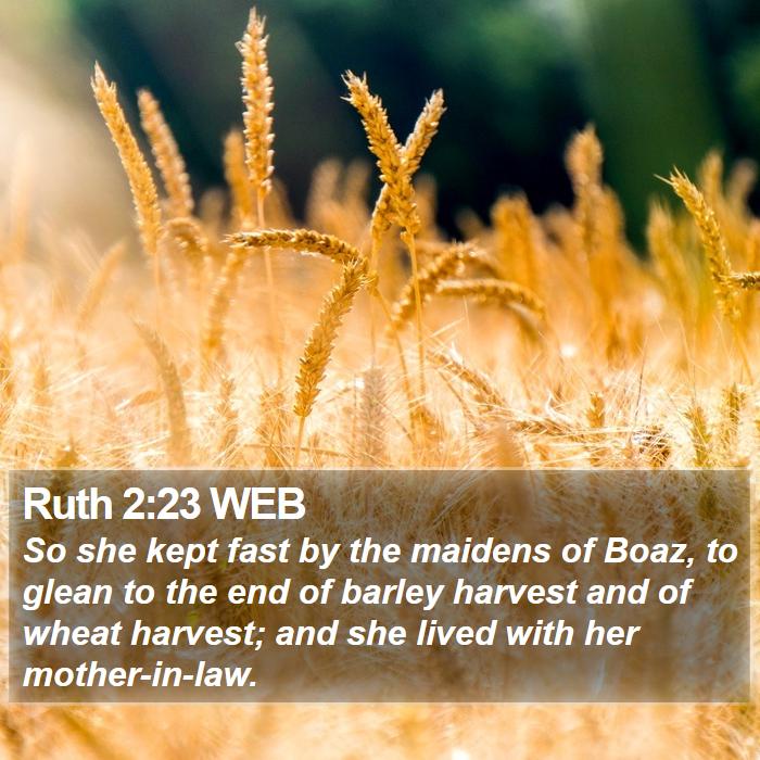 Ruth 2:23 WEB Bible Study