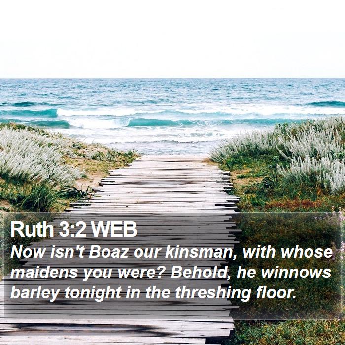 Ruth 3:2 WEB Bible Study