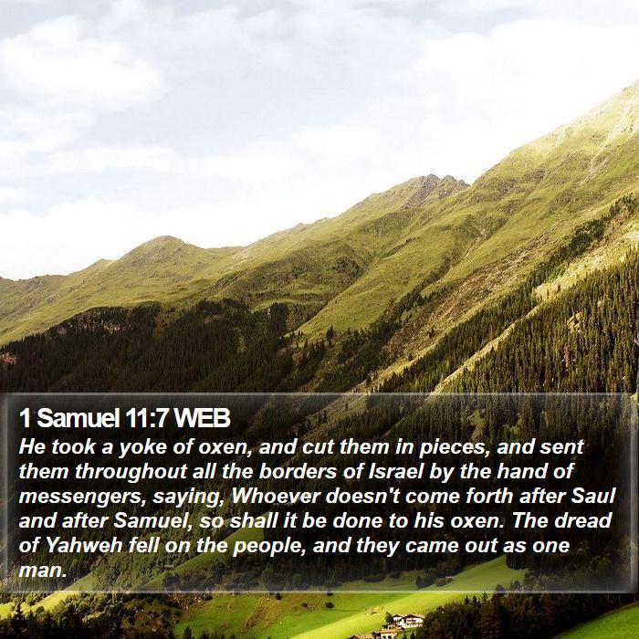 1 Samuel 11:7 WEB Bible Study