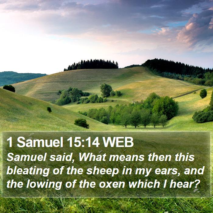 1 Samuel 15:14 WEB Bible Study