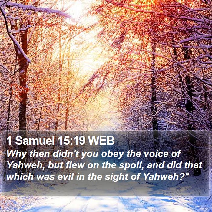 1 Samuel 15:19 WEB Bible Study