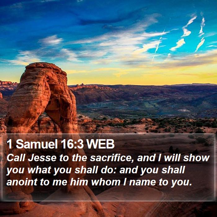 1 Samuel 16:3 WEB Bible Study