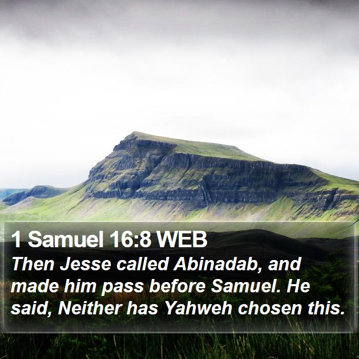 1 Samuel 16:8 WEB Bible Study