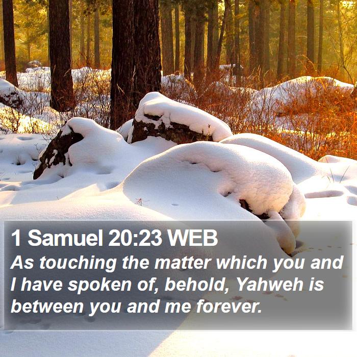 1 Samuel 20:23 WEB Bible Study