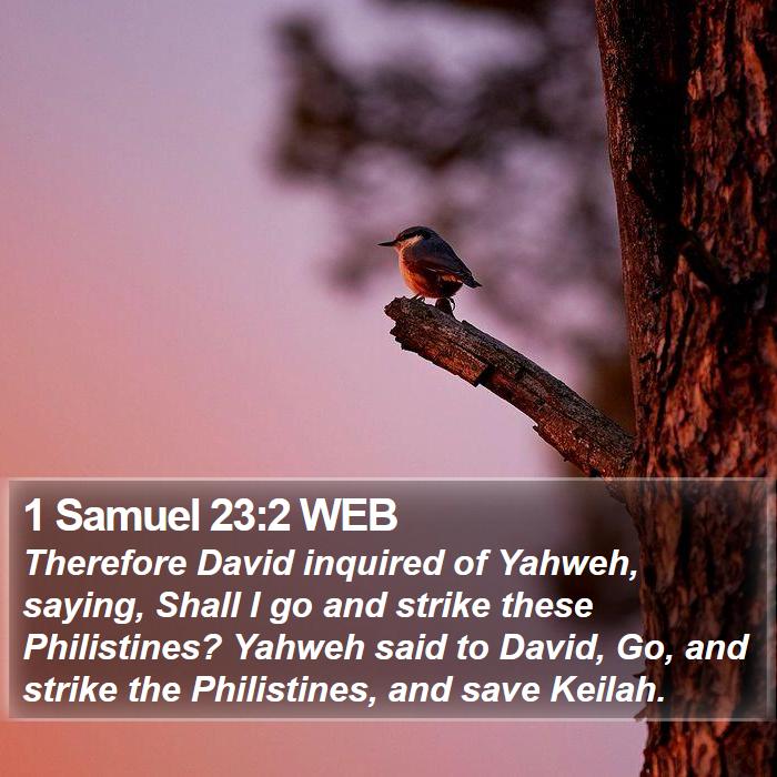 1 Samuel 23:2 WEB Bible Study