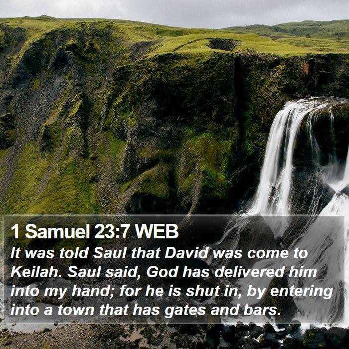 1 Samuel 23:7 WEB Bible Study