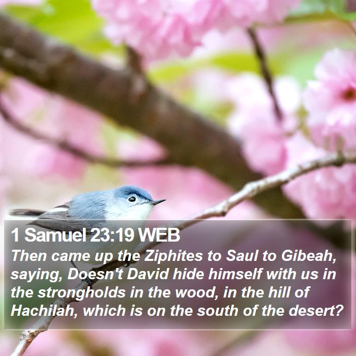 1 Samuel 23:19 WEB Bible Study