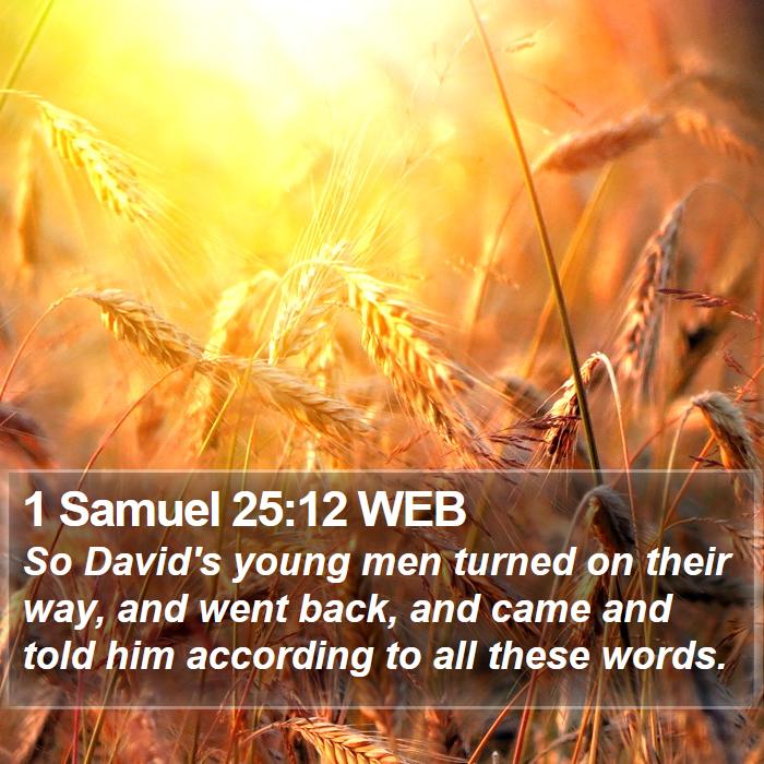 1 Samuel 25:12 WEB Bible Study