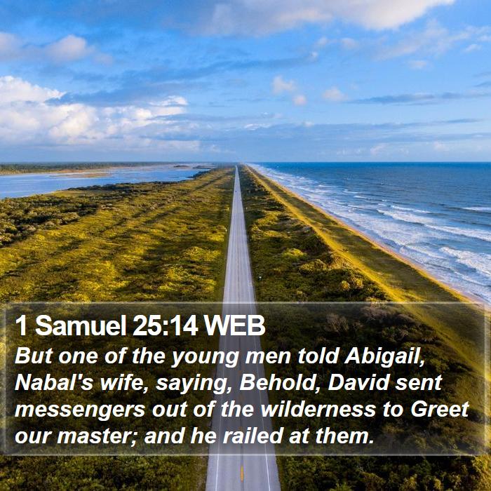 1 Samuel 25:14 WEB Bible Study