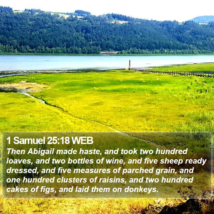 1 Samuel 25:18 WEB Bible Study