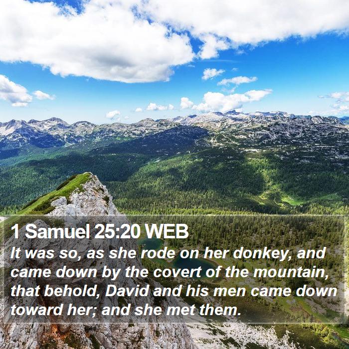 1 Samuel 25:20 WEB Bible Study