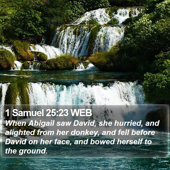 1 Samuel 25:23 WEB Bible Study