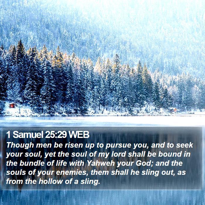 1 Samuel 25:29 WEB Bible Study