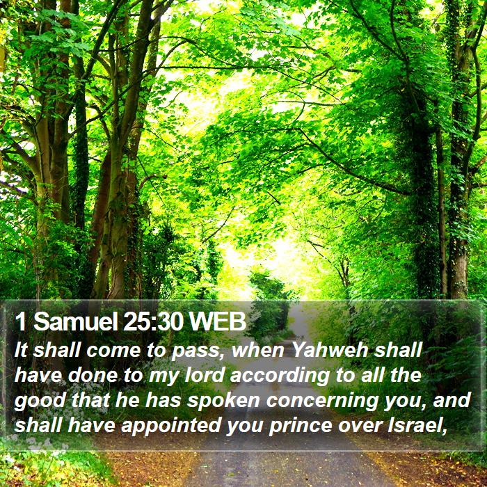 1 Samuel 25:30 WEB Bible Study