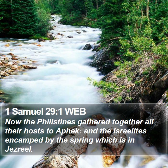 1 Samuel 29:1 WEB Bible Study