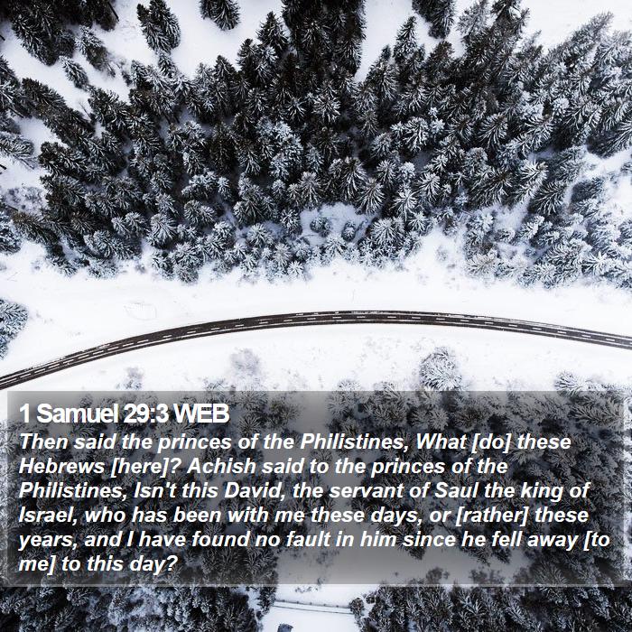 1 Samuel 29:3 WEB Bible Study