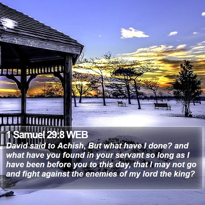 1 Samuel 29:8 WEB Bible Study