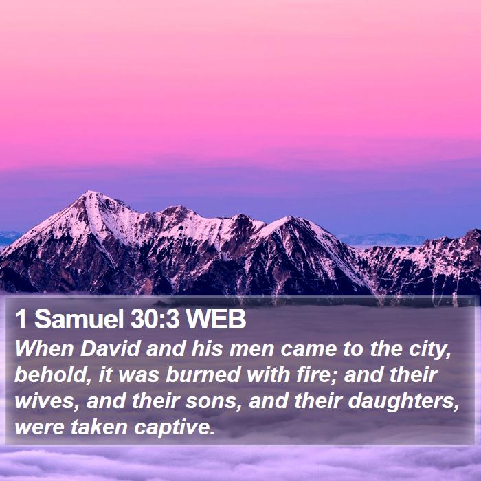 1 Samuel 30:3 WEB Bible Study