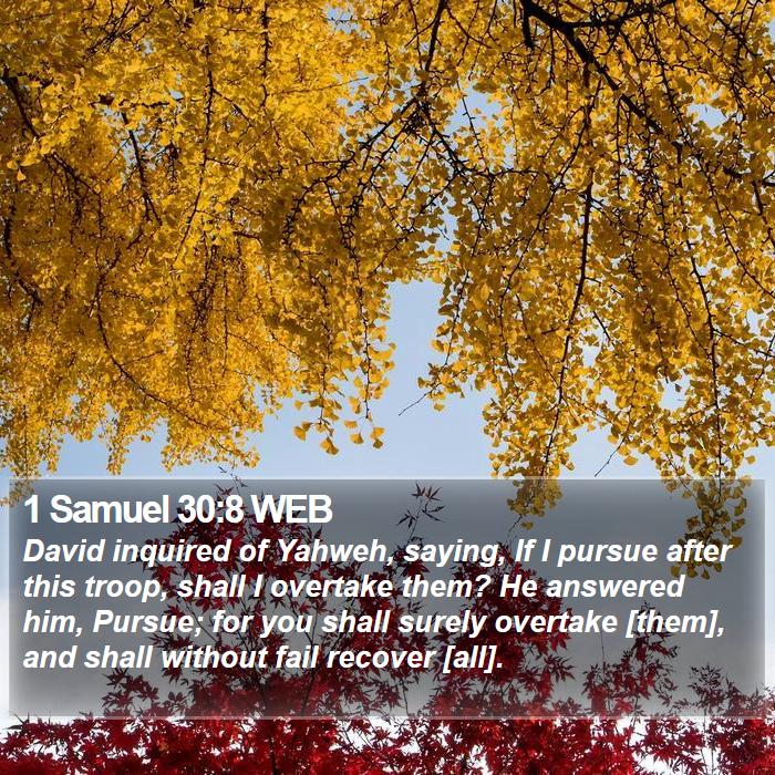 1 Samuel 30:8 WEB Bible Study